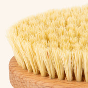 NATURE'S groove vegan dry brush close up